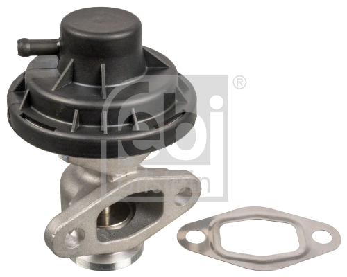 EGR Valve